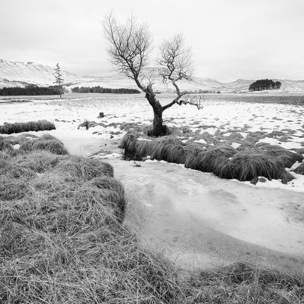 Ledové pláně, Loch Tulla