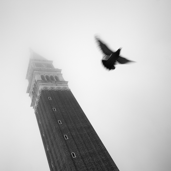 Benátští holubi